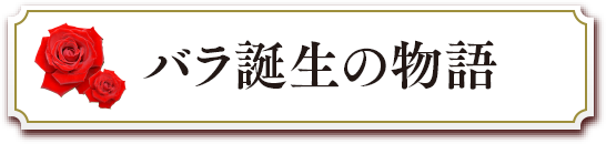 バラ誕生の物語