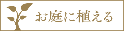 お庭に植える