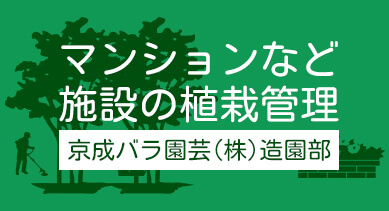 マンションなど施設の植栽管理 京成バラ園芸(株)造園部