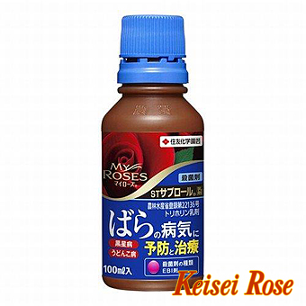 バラの消毒 チーフガーデナー佐々木の日々是薔薇 京成バラ園 Keisei Rose Garden バラの消毒 チーフガーデナー佐々木の日々是薔薇 京成バラ園 Keisei Rose Garden