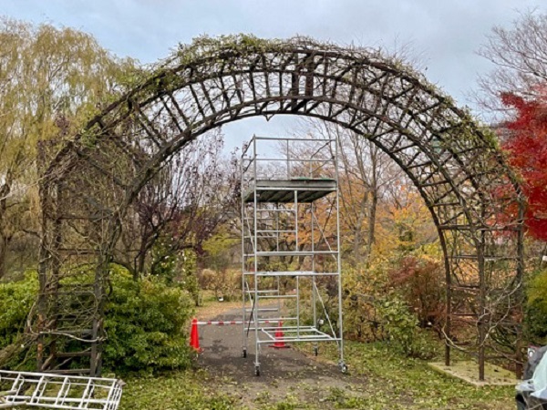 つるバラの誘引 アーチ編 副園長 佐々木の日々是薔薇 京成バラ園 Keisei Rose Garden