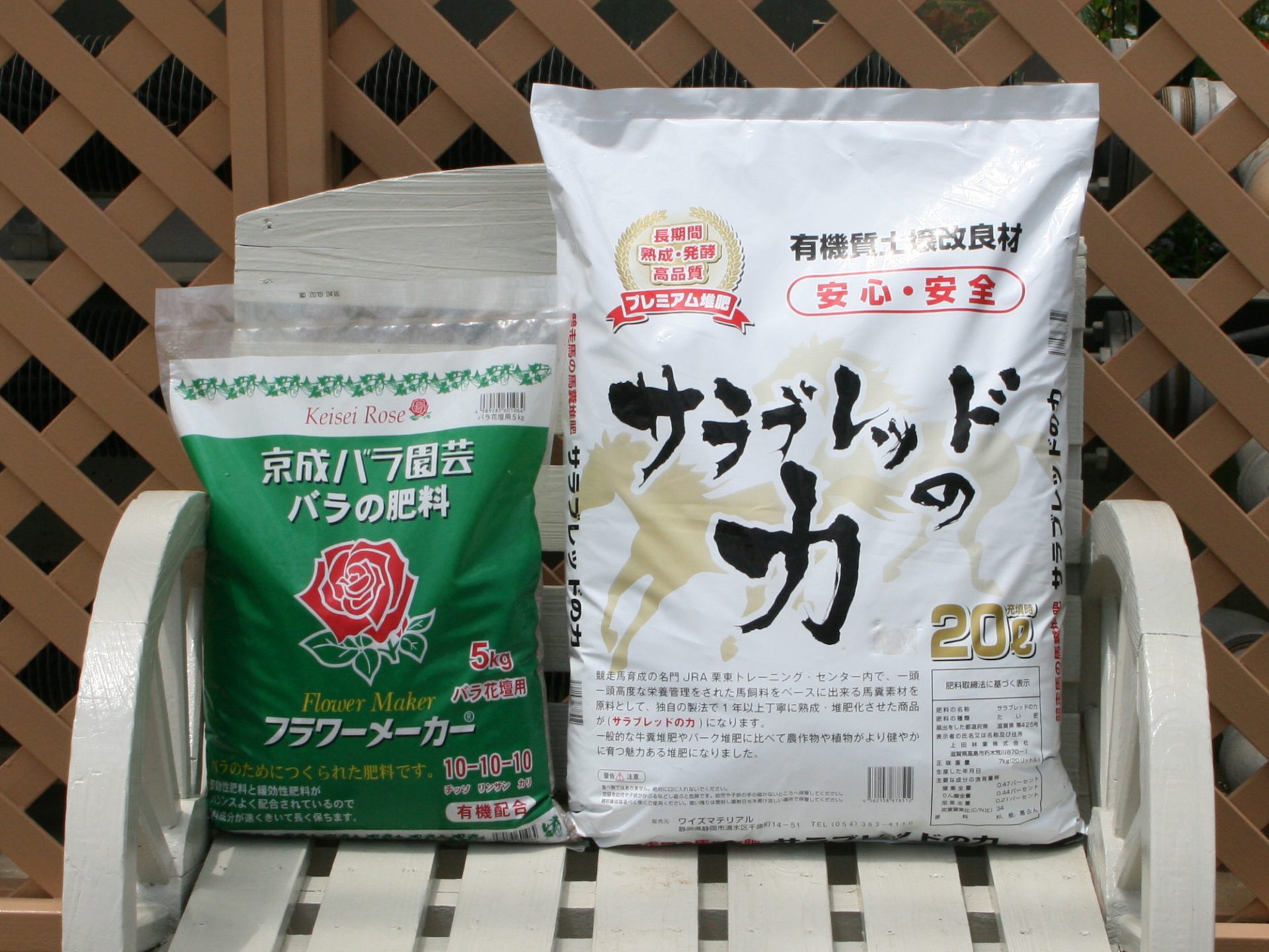 新苗の地植え チーフガーデナー佐々木の日々是薔薇 京成バラ園 Keisei Rose Garden 新苗の地植え チーフガーデナー佐々木の日々是薔薇 京成バラ園 Keisei Rose Garden