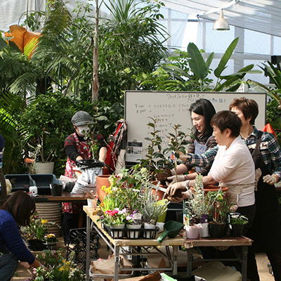 春の寄せ植え １Dayセミナー