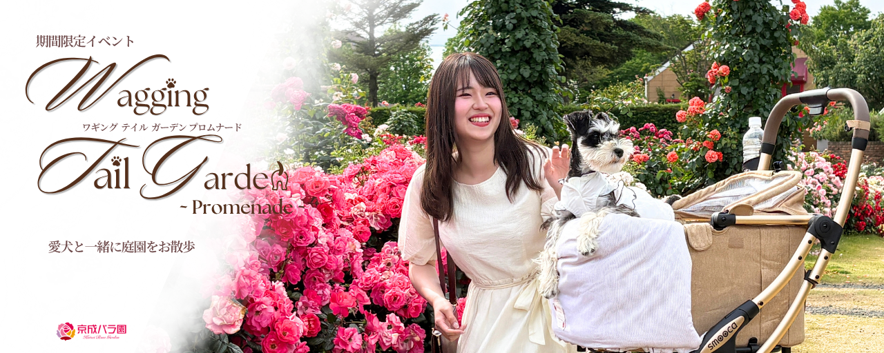 Wagging Tail Garden ワギング テイル ガーデン