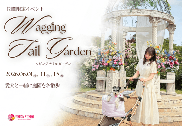 Wagging Tail Garden ワギング テイル ガーデン