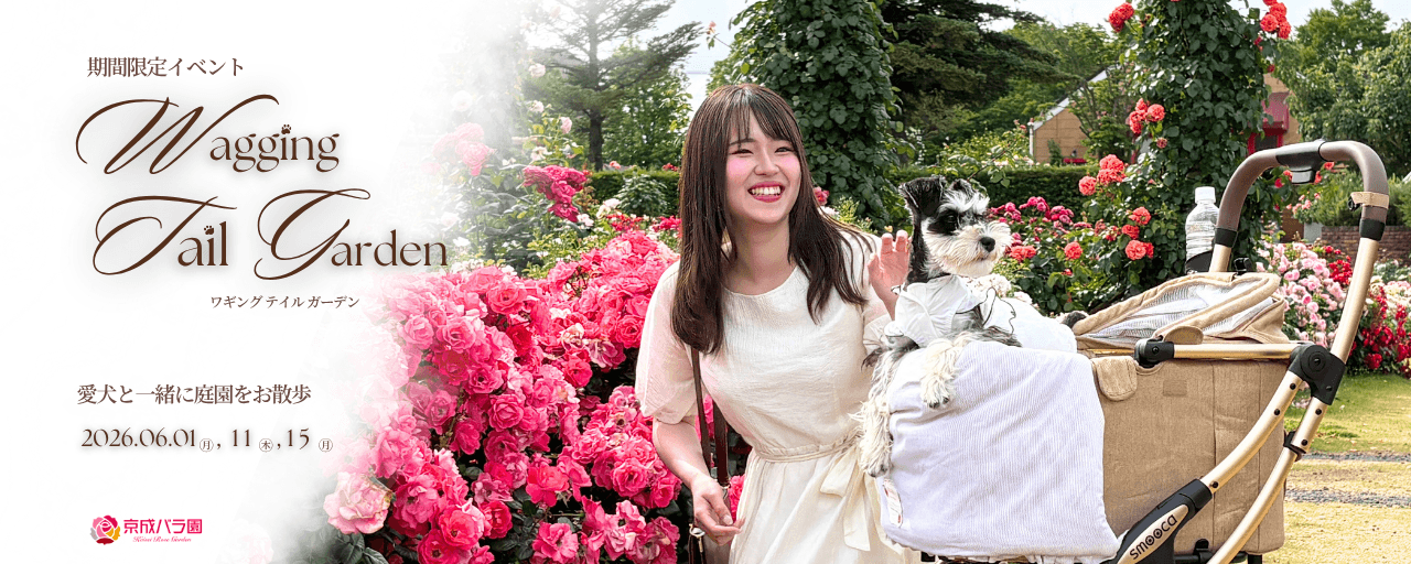 Wagging Tail Garden ワギング テイル ガーデン