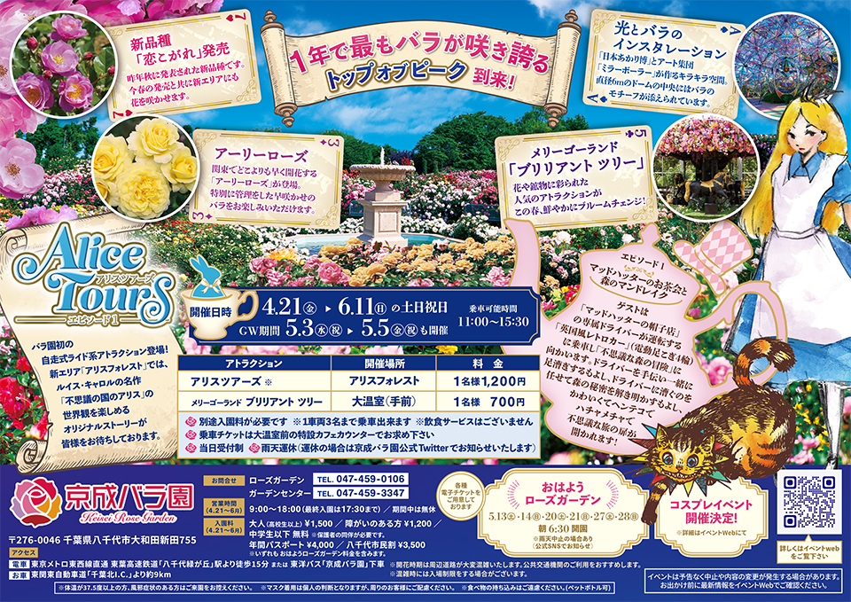 ノッキング オン スプリング」 - 京成バラ園 - Keisei Rose Garden