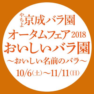 インスタグラム フォトコンテスト 結果発表