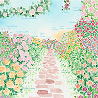 藤川志朗 バラと花のイラスト展