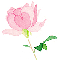 「バラのお絵かき教室～色鉛筆でバラを描こう！～