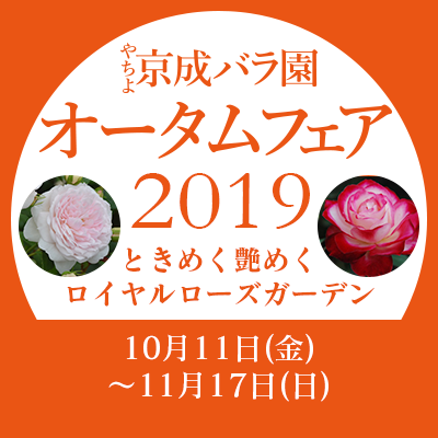 インスタグラム フォトコンテスト 結果発表