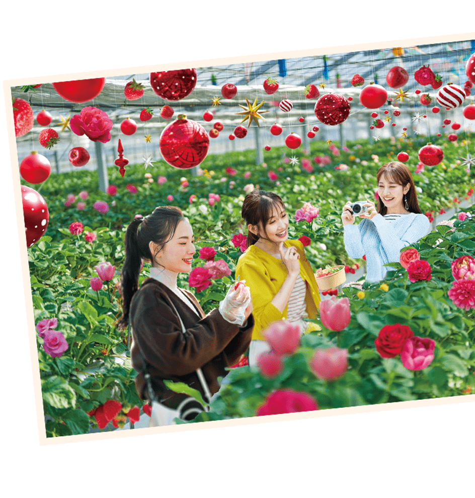 オズのいちご園