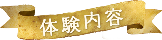 体験内容