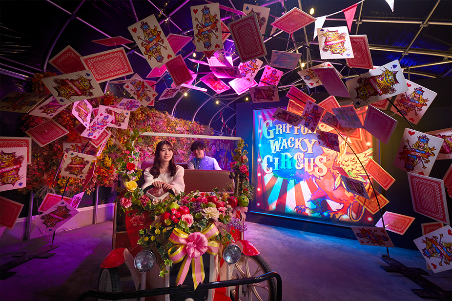 アリスツアーズ新エリア｜白うさぎの段々畑