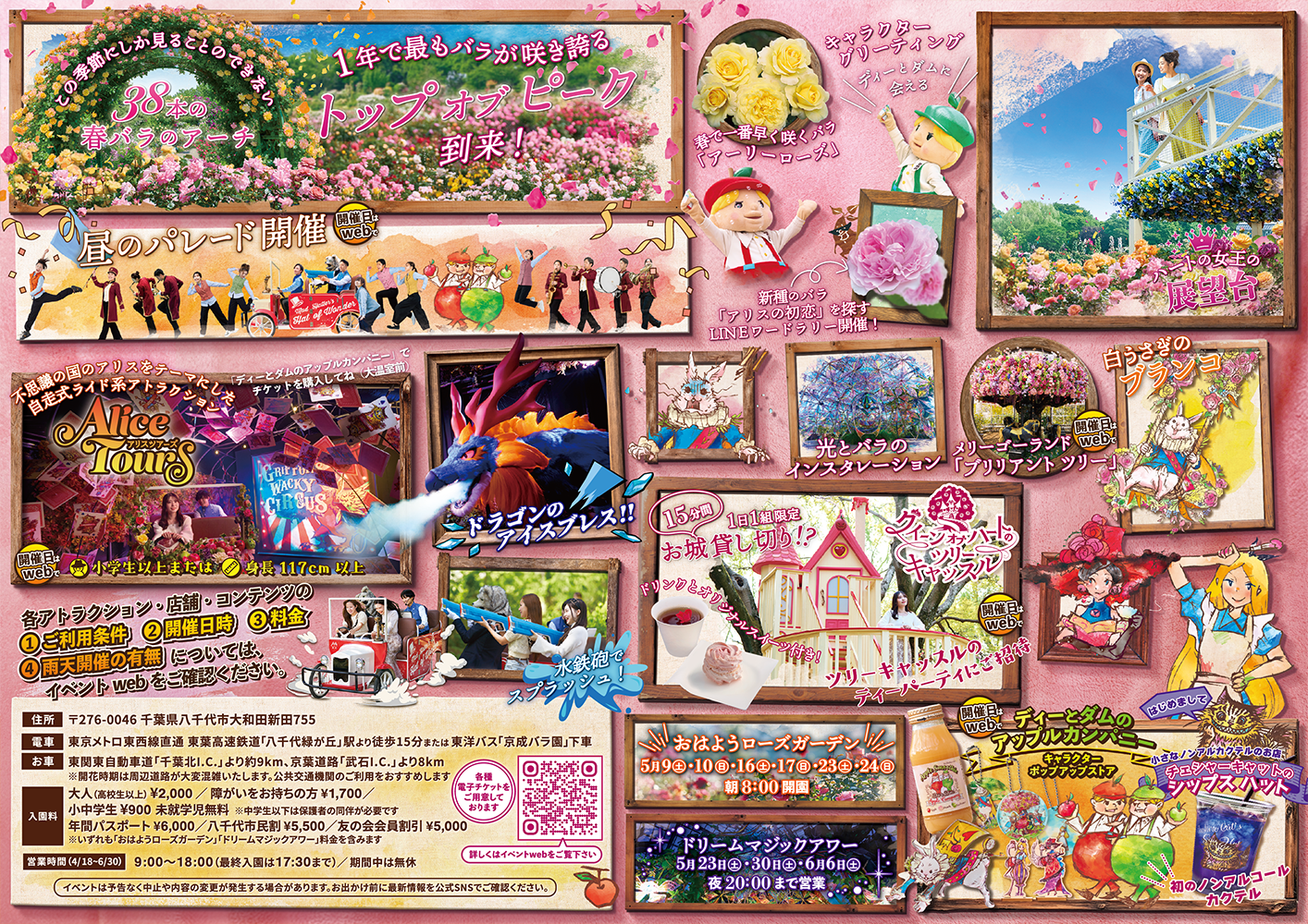 パレット オブ カーニバル A4チラシ裏面｜京成バラ園