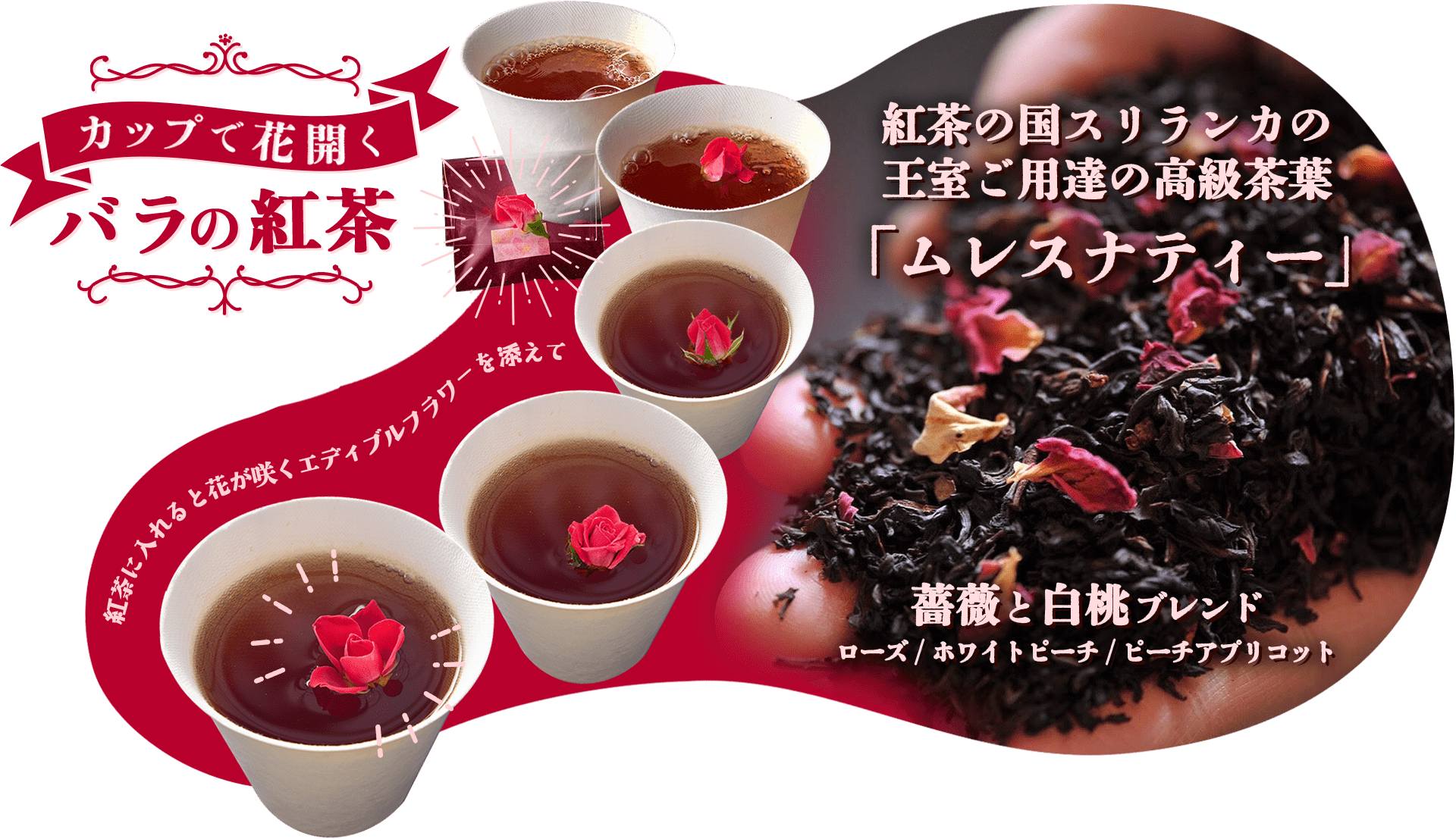 カップで花開く紅茶ムレスナティー