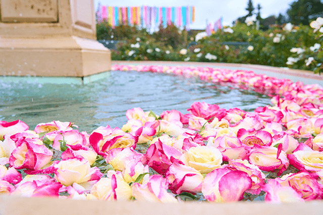 フローティングフラワー体験