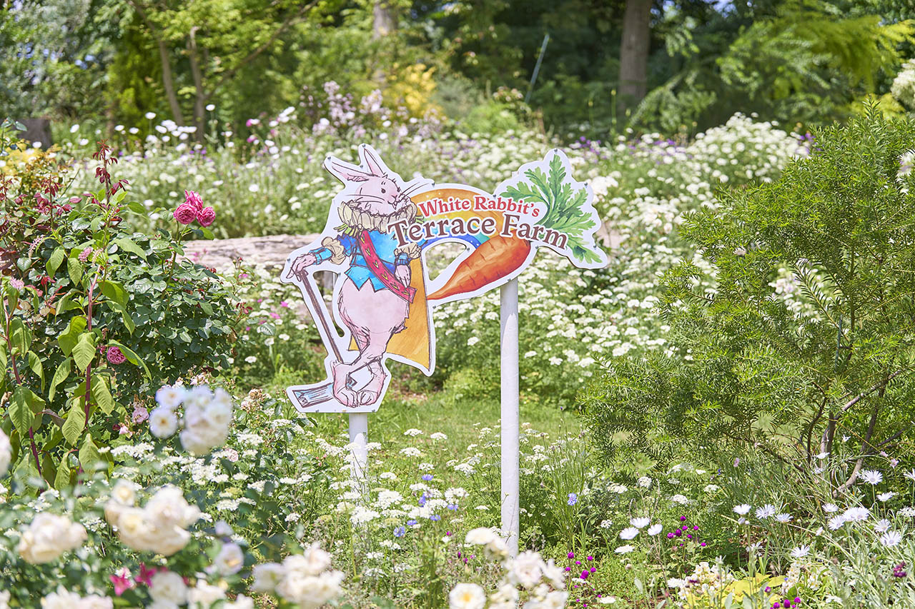 アリスツアーズ