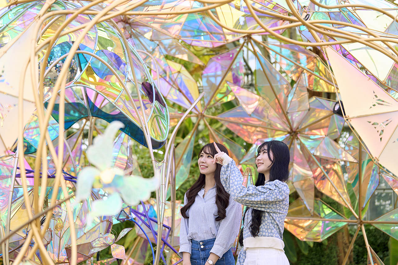 光とバラのインスタレーション