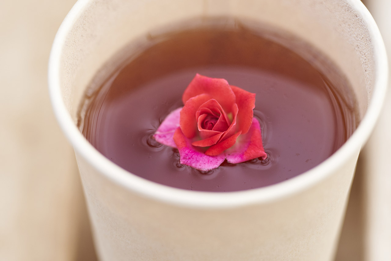 キャラクターポップアップストア