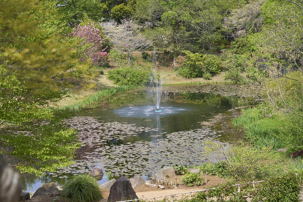 クイーンオブハートのツリーキャッスル