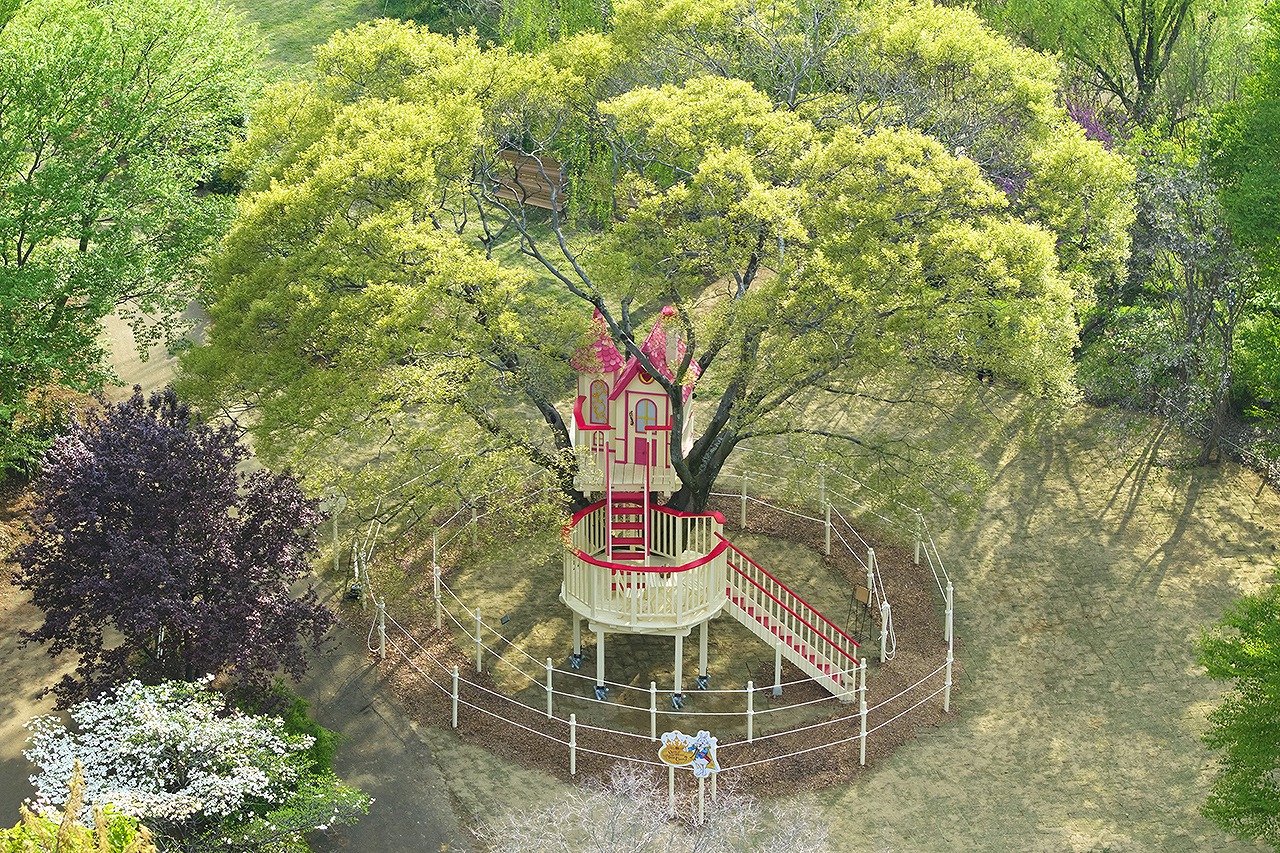 クイーンオブハートのツリーキャッスル