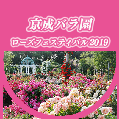 ローズフェスティバル 京成バラ園 Keisei Rose Garden