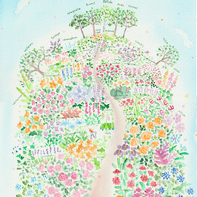 藤川志朗　バラと花のイラスト展