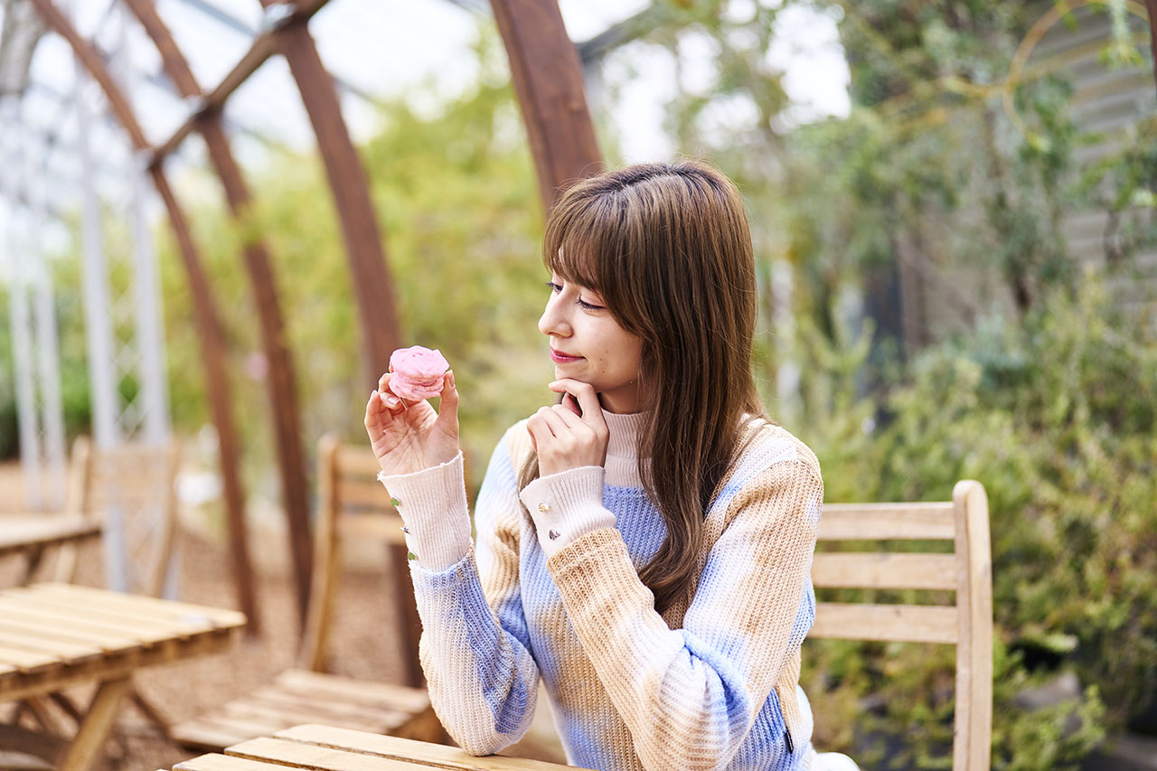 平日限定スイーツ付きプラン