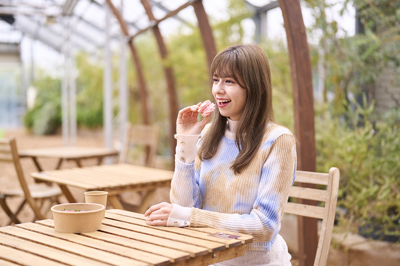 平日限定スイーツ付きプラン