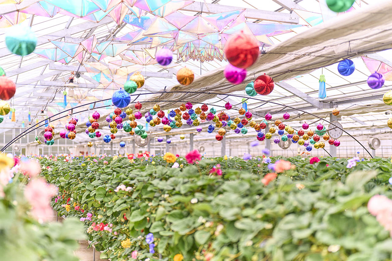 オズのストロベリーが楽しめるシークレットガーデン