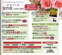 バラのカタログがリニューアル バラコラム 京成バラ園 Keisei Rose Garden バラのカタログがリニューアル バラコラム 京成バラ園 Keisei Rose Garden