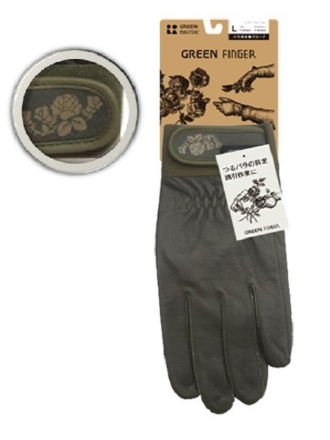 9月のバラ作業－夏剪定（準備編）－