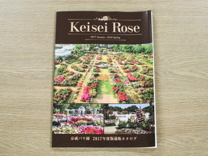 さあ、これからバラをはじめよう 「とある家庭」編