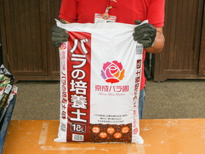 さあ これからバラをはじめよう 苗が届いたら 編 バラコラム 京成バラ園 Keisei Rose Garden