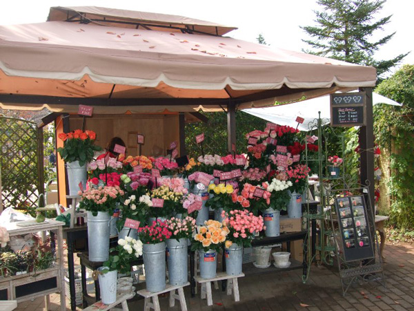 京成バラ園芸