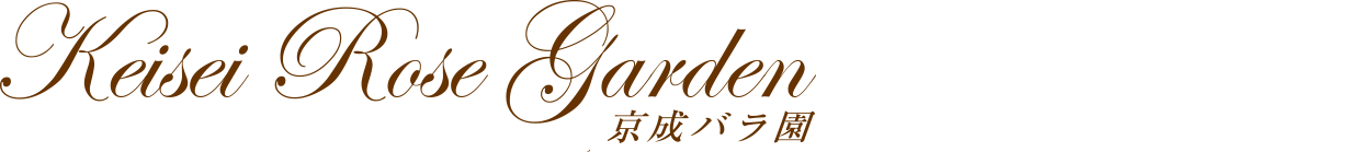 Keisei Rose Garden 京成バラ園
