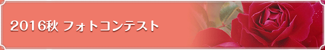 2016秋 フォトコンテスト