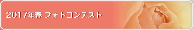 2016秋 フォトコンテスト