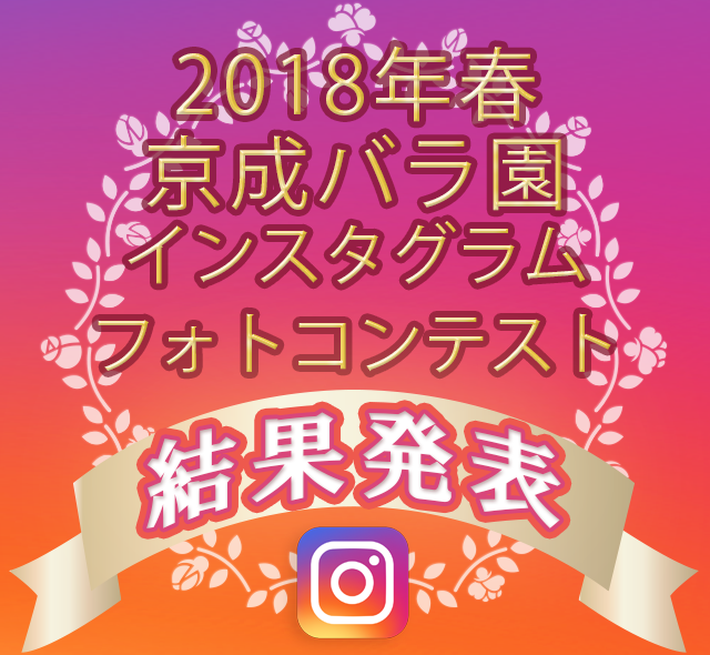 インスタグラム フォトコンテスト 結果発表