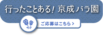 部門その２「行ったことある！京成バラ園」 ログインはこちら