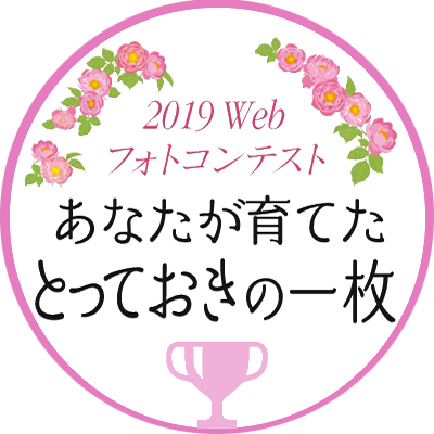 2019 Webフォトコンテスト 結果発表