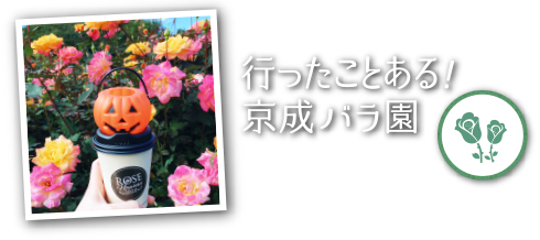 行ってきたよ！京成バラ園 結果発表