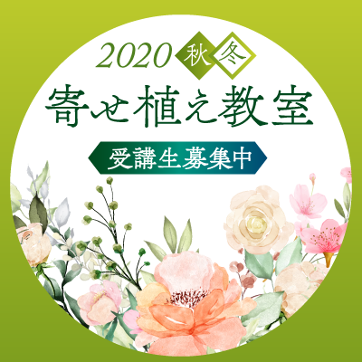 1 600品種 10 000株のバラが咲く 京成バラ園