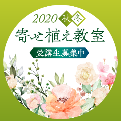 2020秋冬  寄せ植え教室