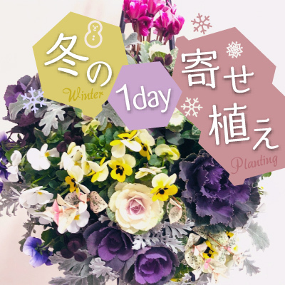 冬の寄せ植え1Dayセミナー