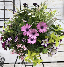 22春夏 寄せ植え教室 四季を彩るセンスアップレッスン 京成バラ園 Keisei Rose Garden