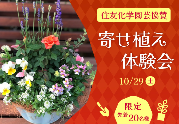 学ぶ セミナー 京成バラ園 Keisei Rose Garden