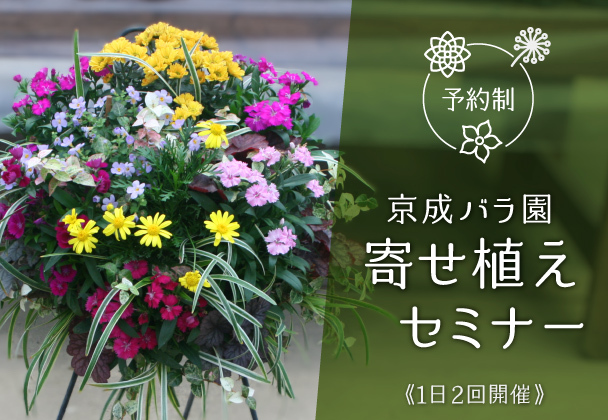 寄せ植えセミナー【前期】 - 京成バラ園 - Keisei Rose Garden