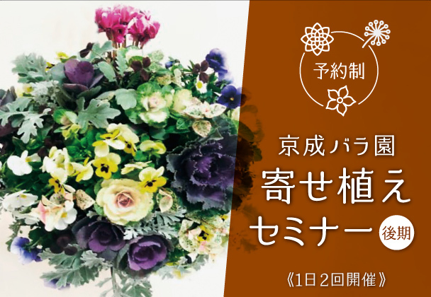 寄せ植えセミナー【後期】